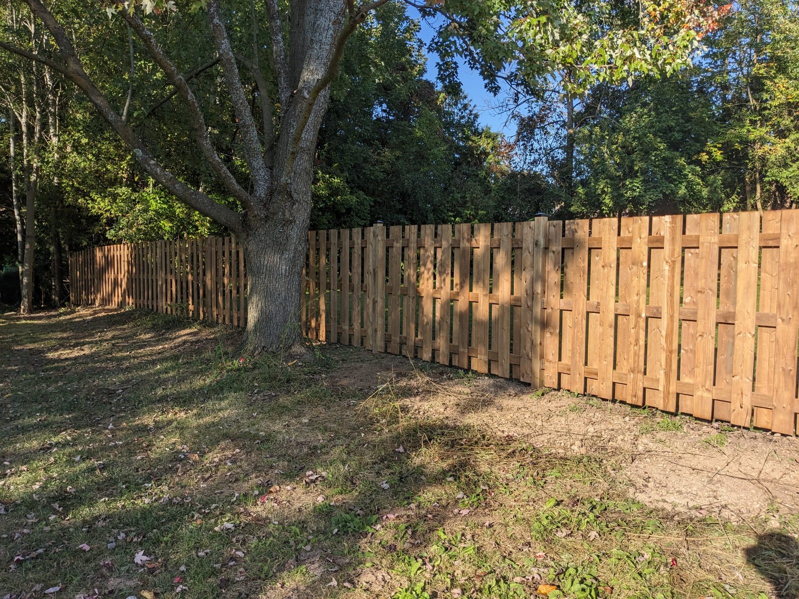 Installed fence